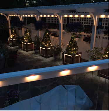 FocalZona_Planters_with_Lights